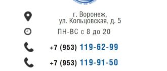 ЛК vdr-bus.ru