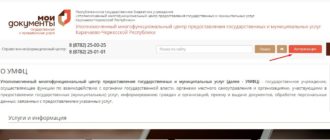 ЛК МФЦ «Черкесска»