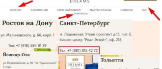 ЛК «АЮ Дримс»