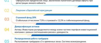 ЛК «Амир Капитал»