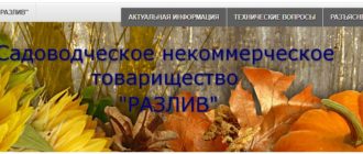 ЛК СНТ «Разлив»