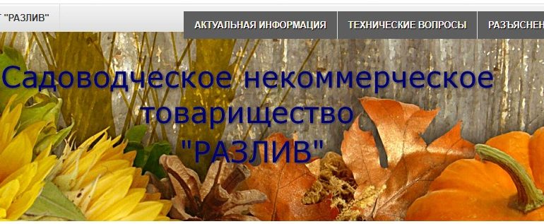 ЛК СНТ «Разлив»