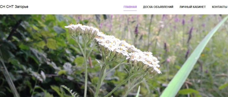 ЛК СНТ «Загорье»